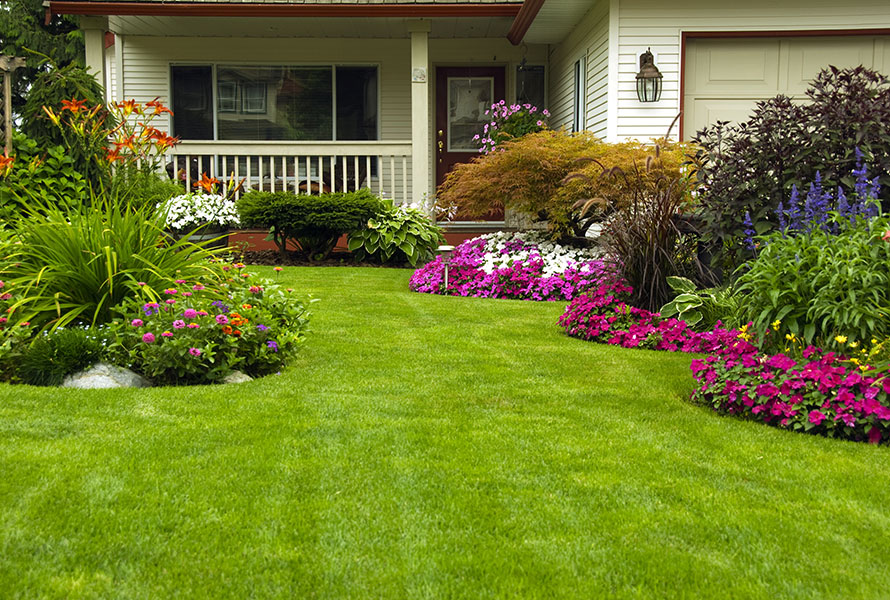 spring yard clean up services near springfield illinois