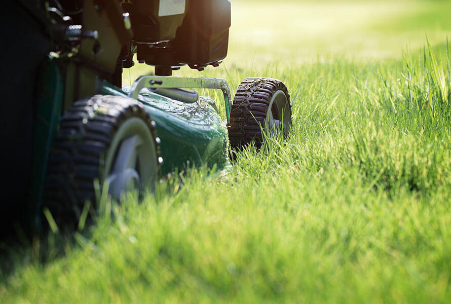 lawn care and maintenance services near the rochester illinois area