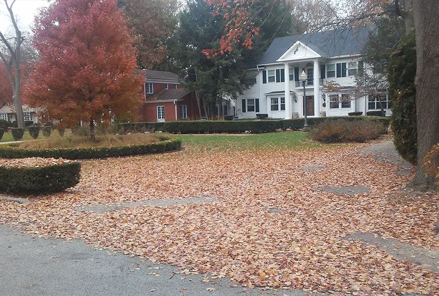 fall yard clean up services near springfield illinois