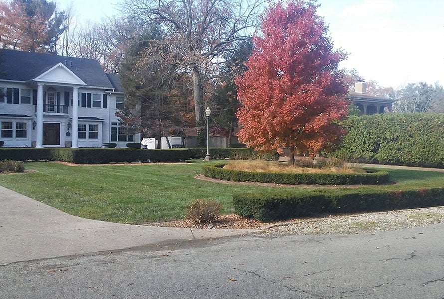 leaf removal services near springfield illinois