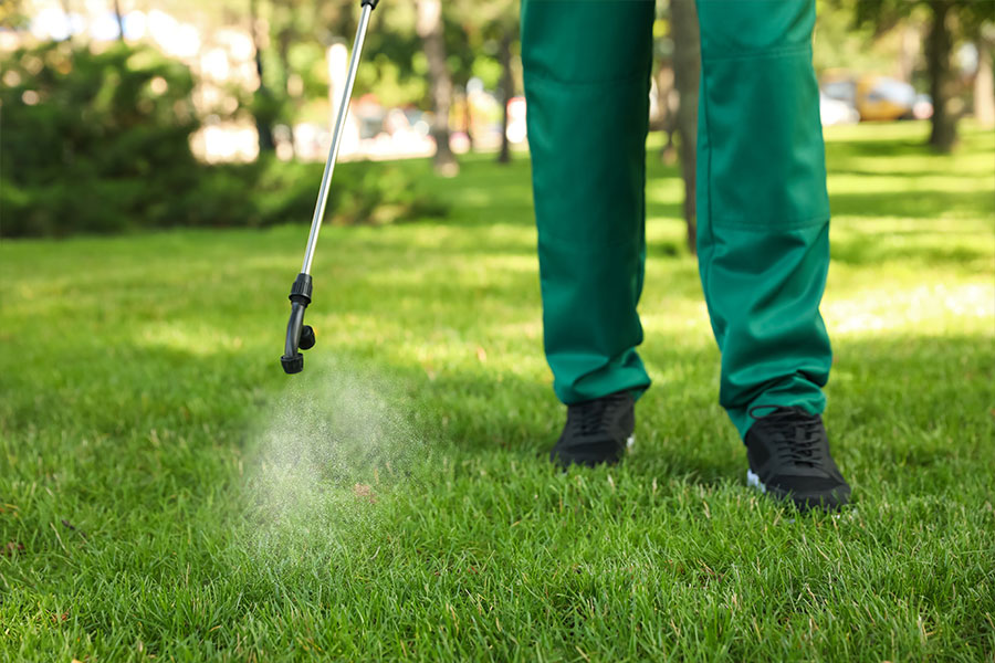 Professional landscaping contractor in a green uniform spraying spring grass with pest control chemicals in Springfield, IL