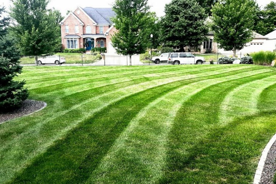A freshly mowed lawn with intricate dark green designs from a professional lawn care business in Springfield, IL. Lawn mowing for a residential neighborhood in Southern IL.
