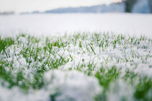 Snow covering a residential lawn in Springfield, IL that is properly maintained by landscaping professionals.