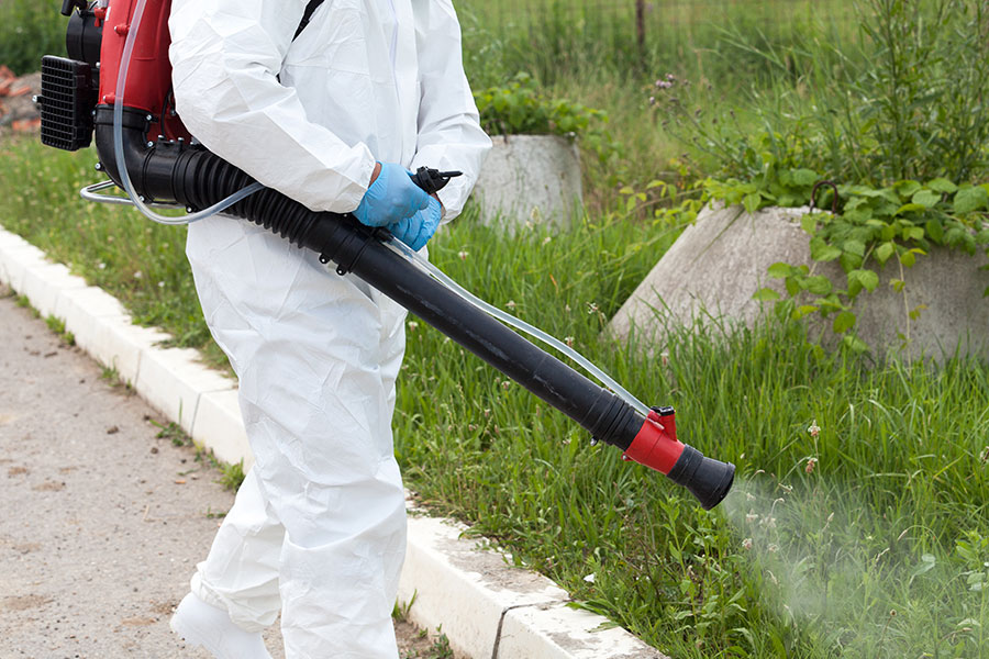 A landscaping professional in Springfield, IL using a commercial pest control system to remove harmful bugs and pests from a commercial property.