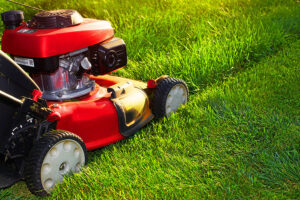 A red lawn mower in Springfield, IL that is trimming an overgrown residential lawn as part of a summer lawn care guide for maintenance.