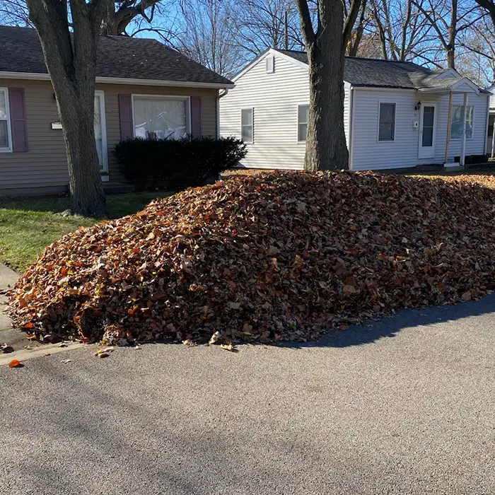 seasonal yard clean up services central illinois