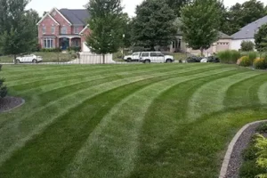 Wellman’s Lawn Care – A property in Springfield, IL with a well-maintained lawn because the owner utilizes Wellman's custom lawncare programs.