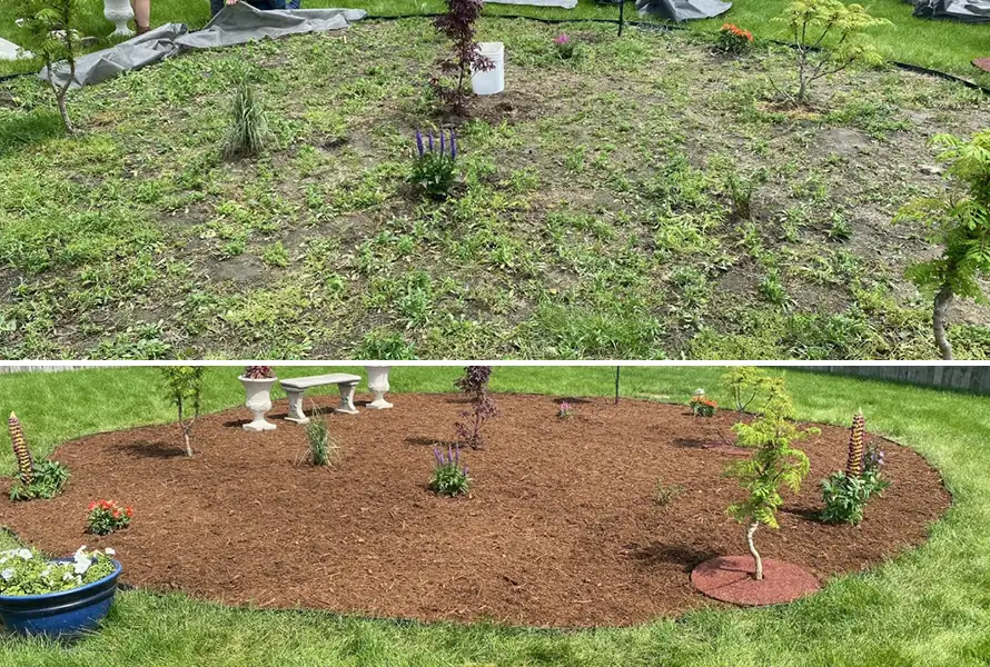 spring yard clean up services near springfield illinois