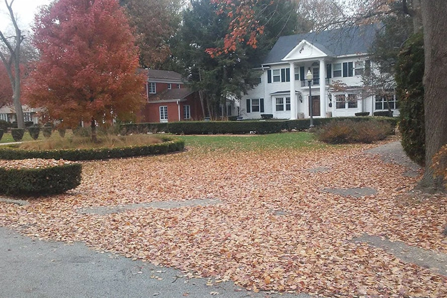 fall yard clean up services near springfield illinois