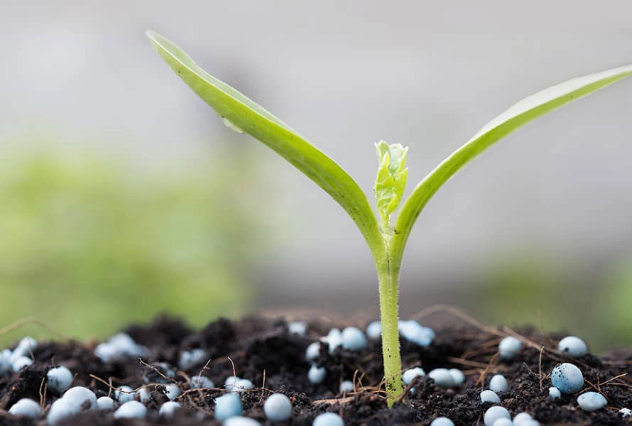 lawn fertilization services near springfield illinois