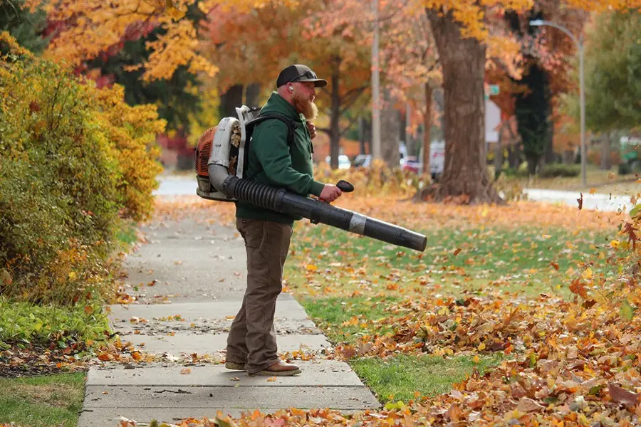 leaf removal services near springfield illinois
