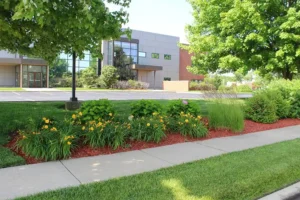Wellman’s Lawn Care—A well-maintained bed of flowers and bushes outside a building in Springfield, IL.