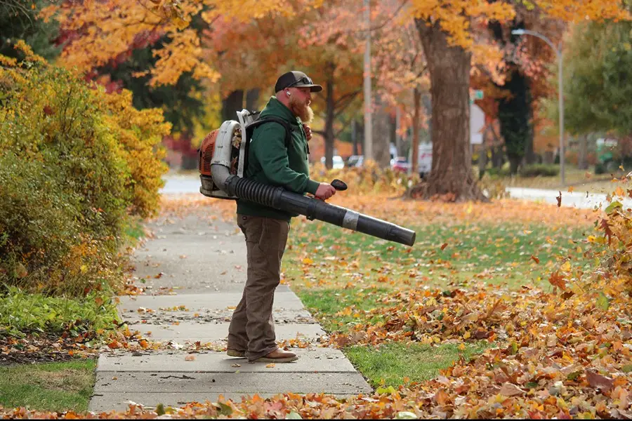 seasonal yard cleanup