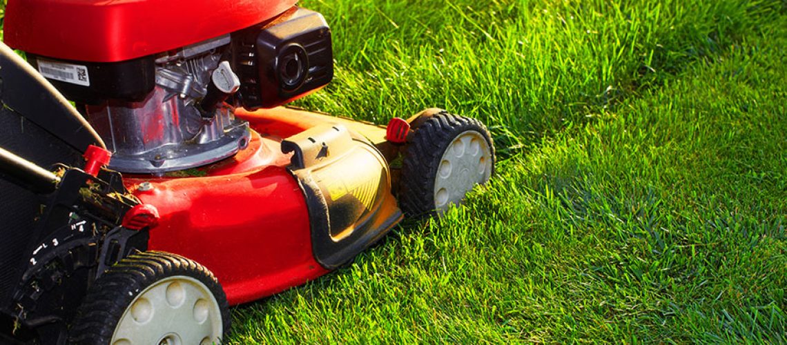 A red lawn mower in Springfield, IL that is trimming an overgrown residential lawn as part of a summer lawn care guide for maintenance.